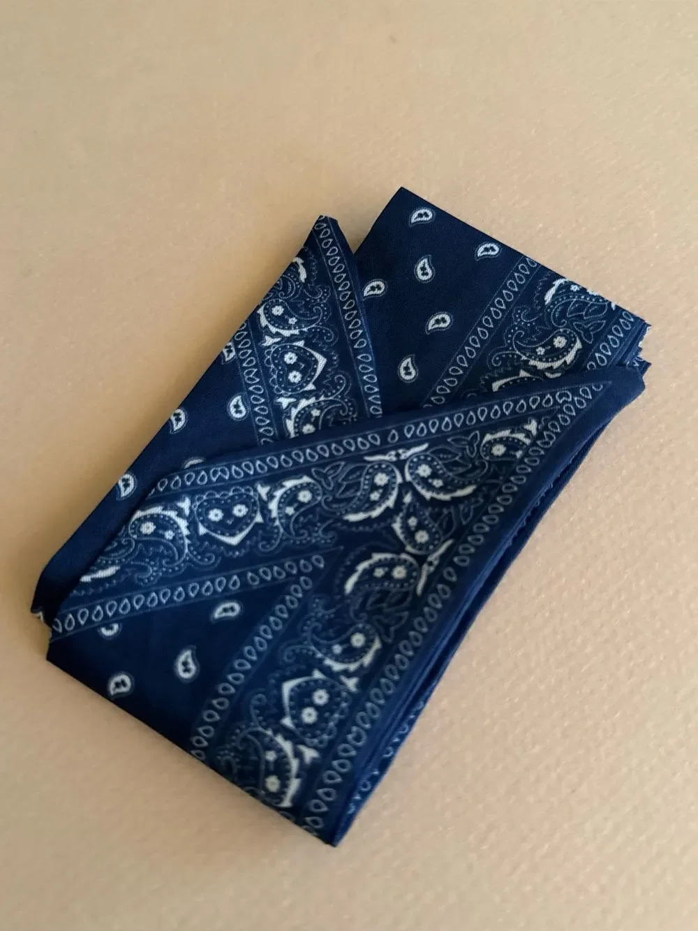 Classic Navy Paisley scarf M1592